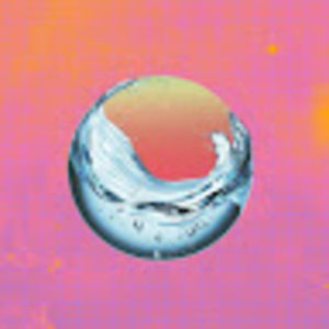 Meet your Posher, Abigail